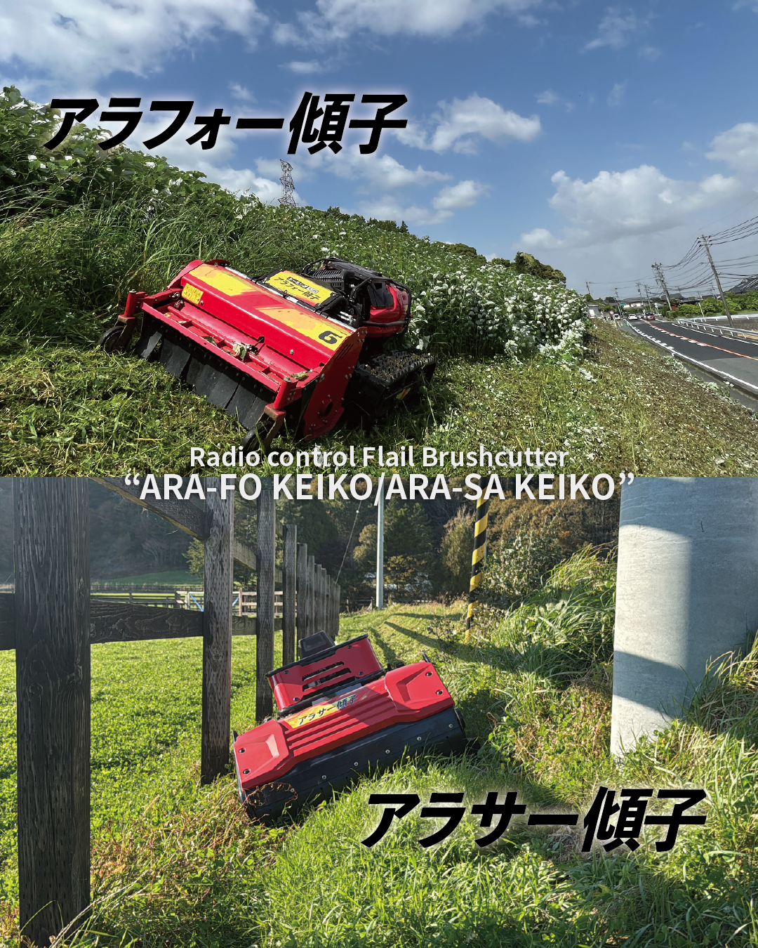 731.png