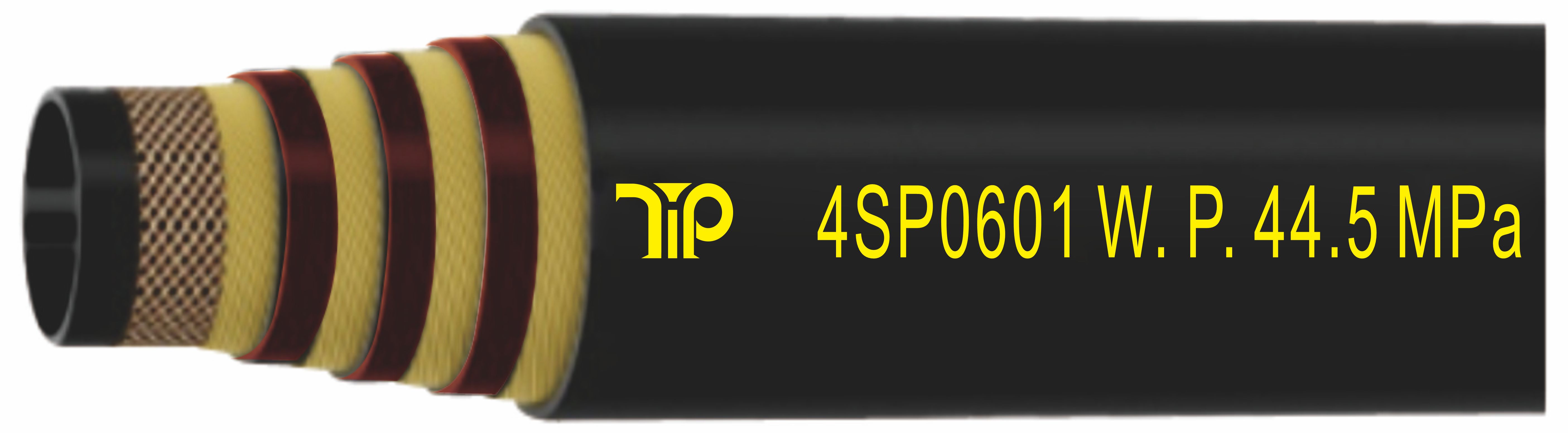 337.jpg